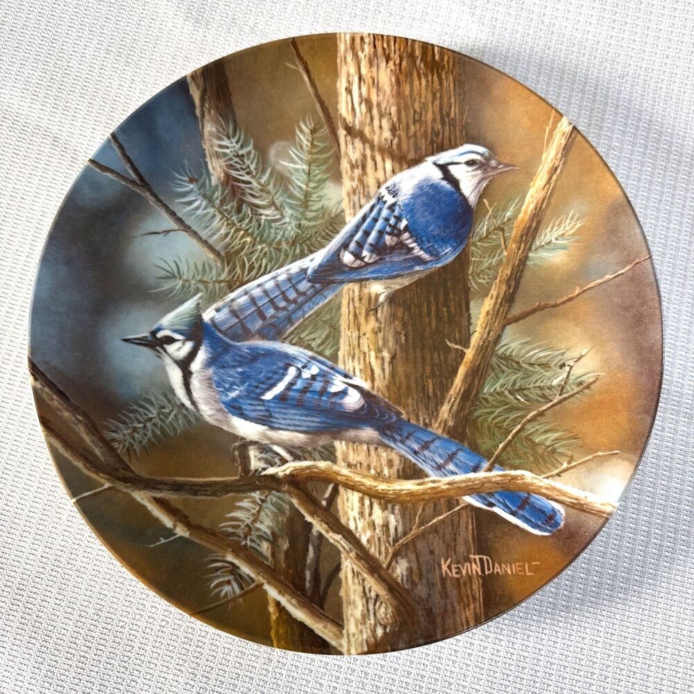 THE BLUE JAY Plate Encyclopaedia Britannica Birds of Your Garden By Kevin Daniel